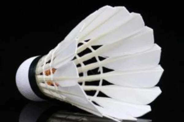 英雄联盟S16世界赛八强LNG对阵WBG Scout与Xiaohu中路对决深度分析